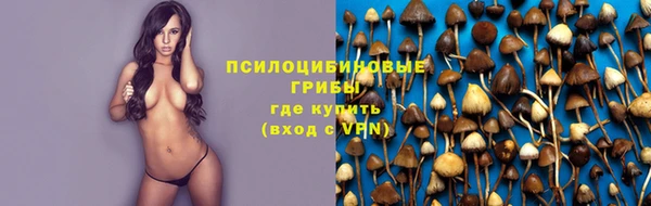 трава Тайга